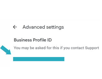 Advanced 61 settings business profile id.